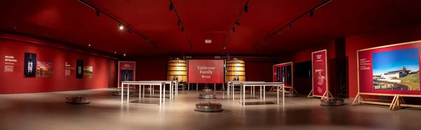Bodegas Valdemar Winery - Spain