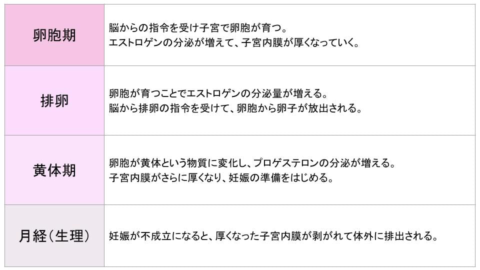 生理までの女性ホルモンの流れを説明している図