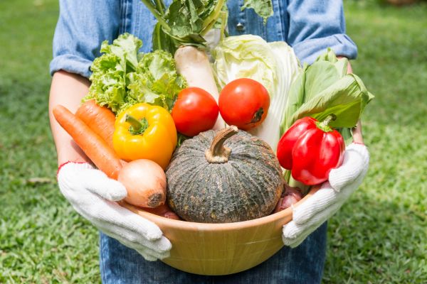 農家の人が新鮮な野菜が入ったバスケットを持っている