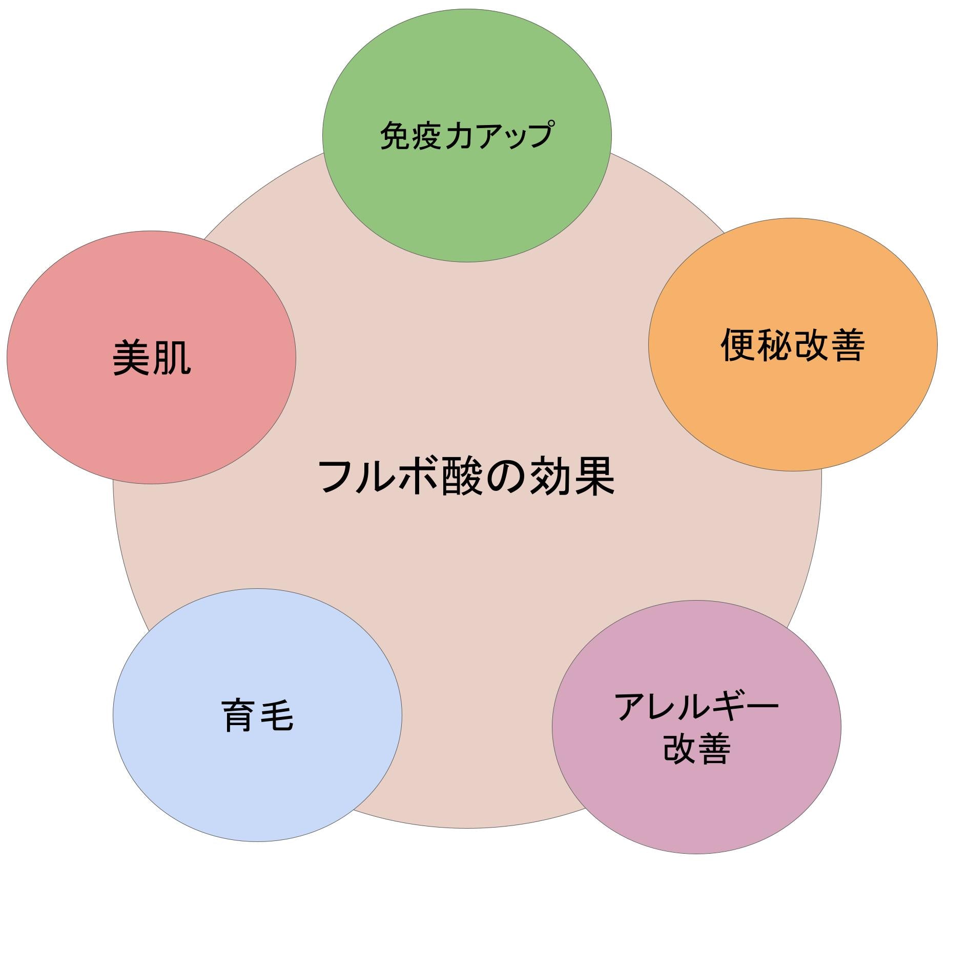 フルボ酸の効果について説明している図