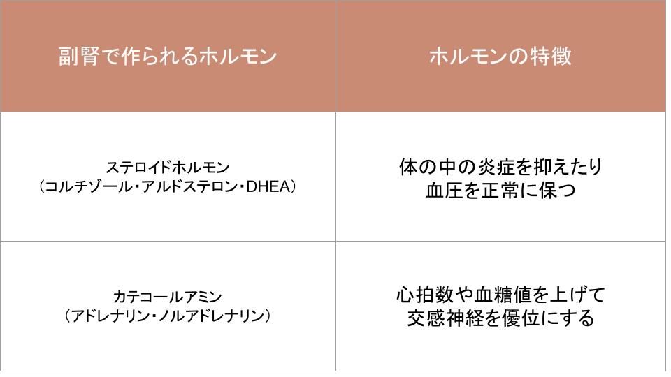 副腎から分泌されるホルモンの説明図