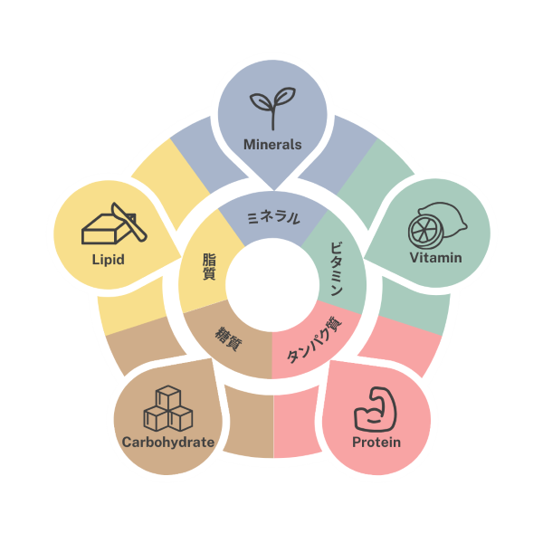 5大栄養素の図