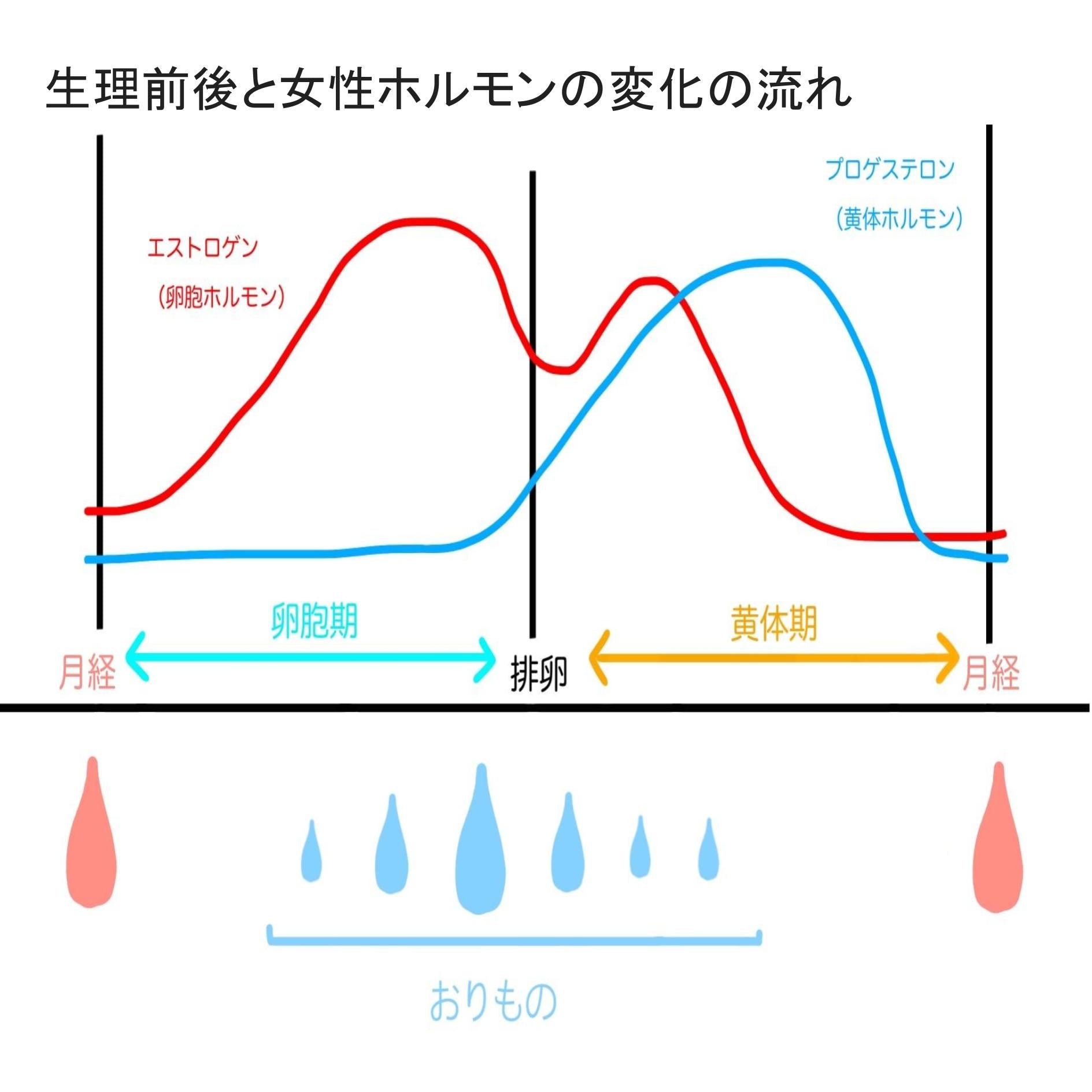 生理前後と女性ホルモンの変動の流れ