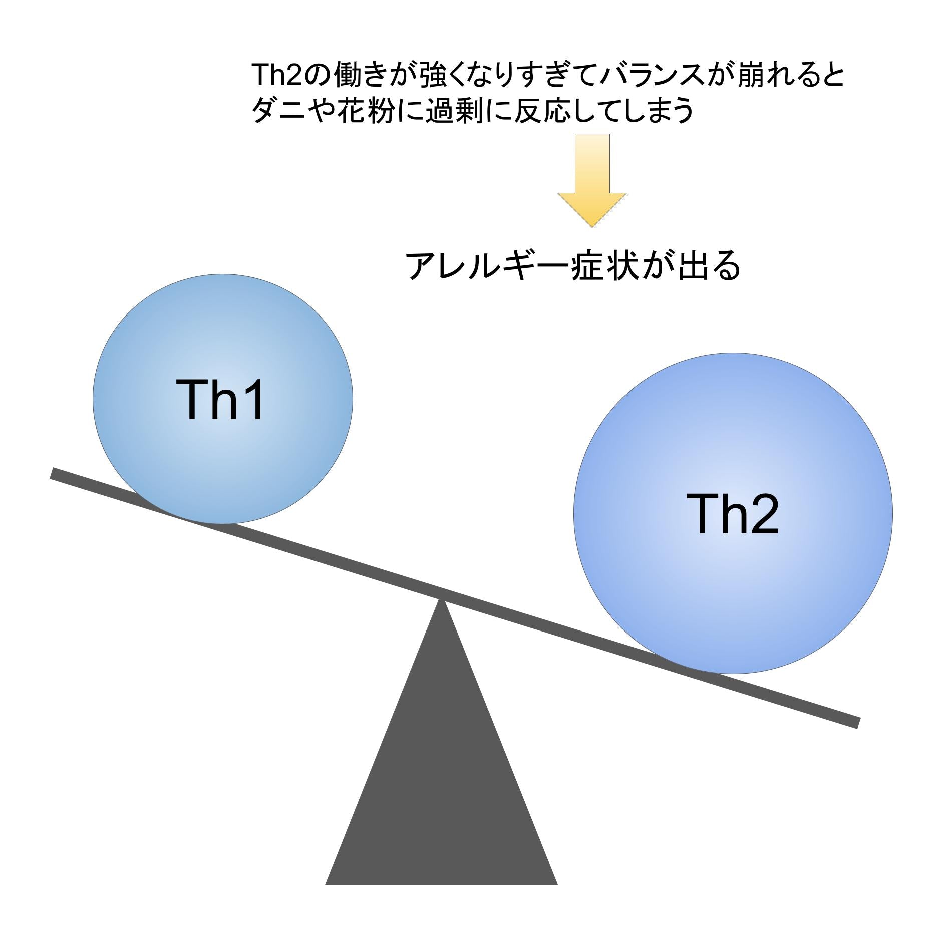 Th1とTh2のバランスが崩れた時のイメージ図