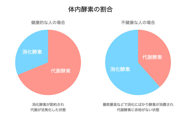 体内酵素の割合