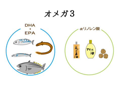 オメガ3系脂肪酸