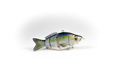 Gizzard Shad – Animated Lure