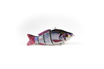 Peacock Bass Specialty – Animated Lure