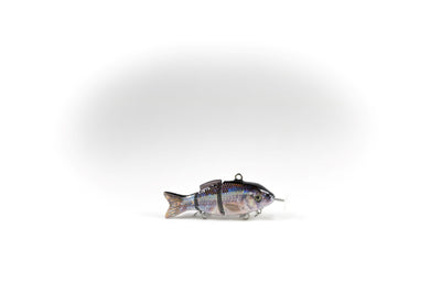 Redtail Chub Specialty – Animated Lure
