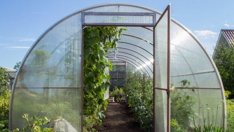 Modern Greenhouse UK