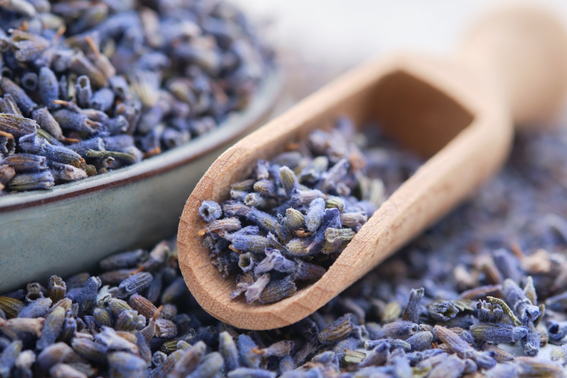 Dried lavender overflowing from a wooden scoop