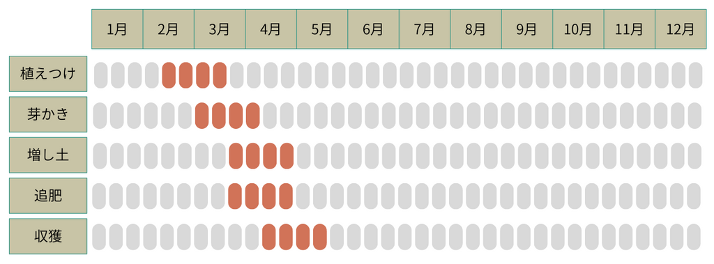 春ジャガイモの栽培カレンダー