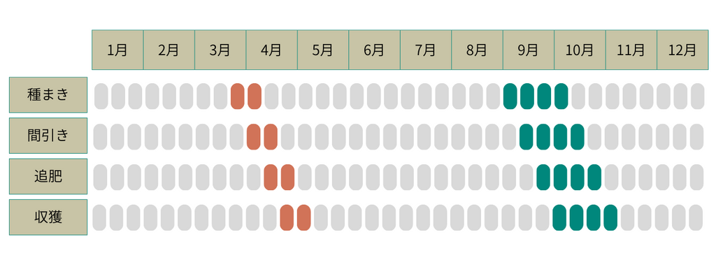 ほうれん草の栽培カレンダー