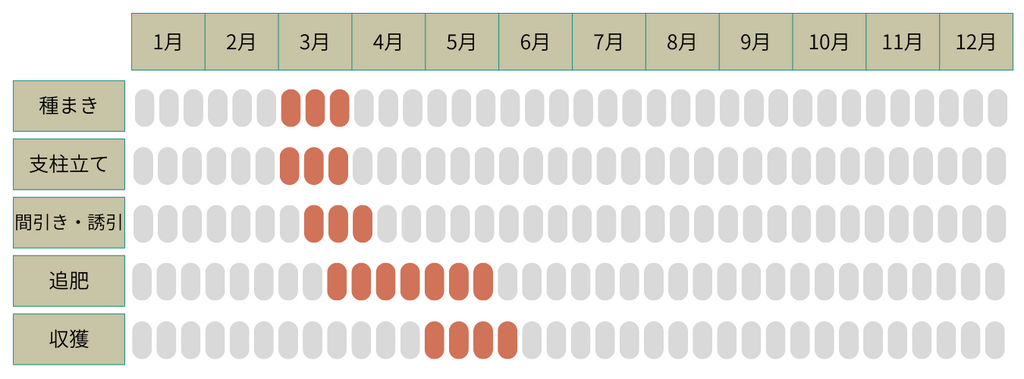 スナップエンドウの栽培カレンダー