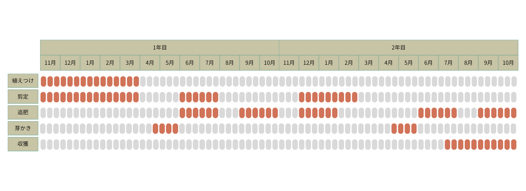 イチジクの栽培カレンダー