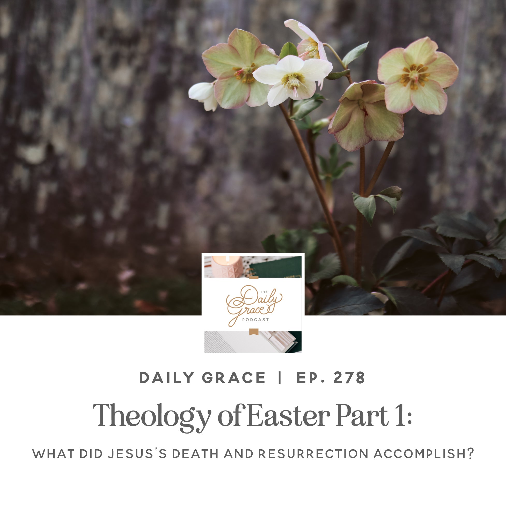 Theology of Easter Part 1: What Did Jesus’s Death and Resurrection Accomplish? Ep. 278 | TDGC