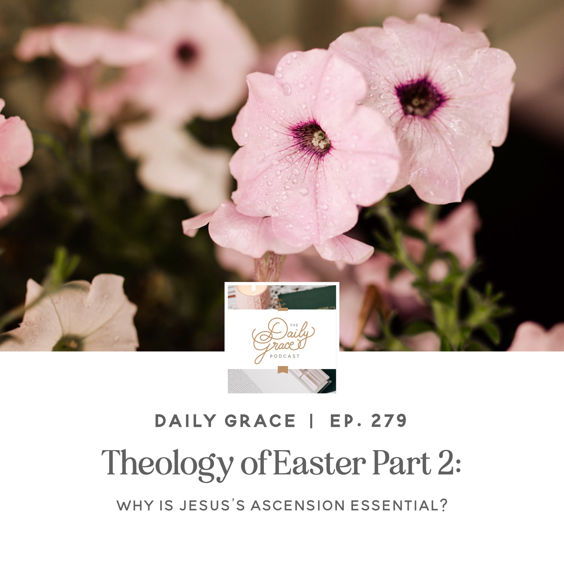 Theology of Easter Part 2: Why is Jesus’s Ascension Essential? Ep. 279 | TDGC