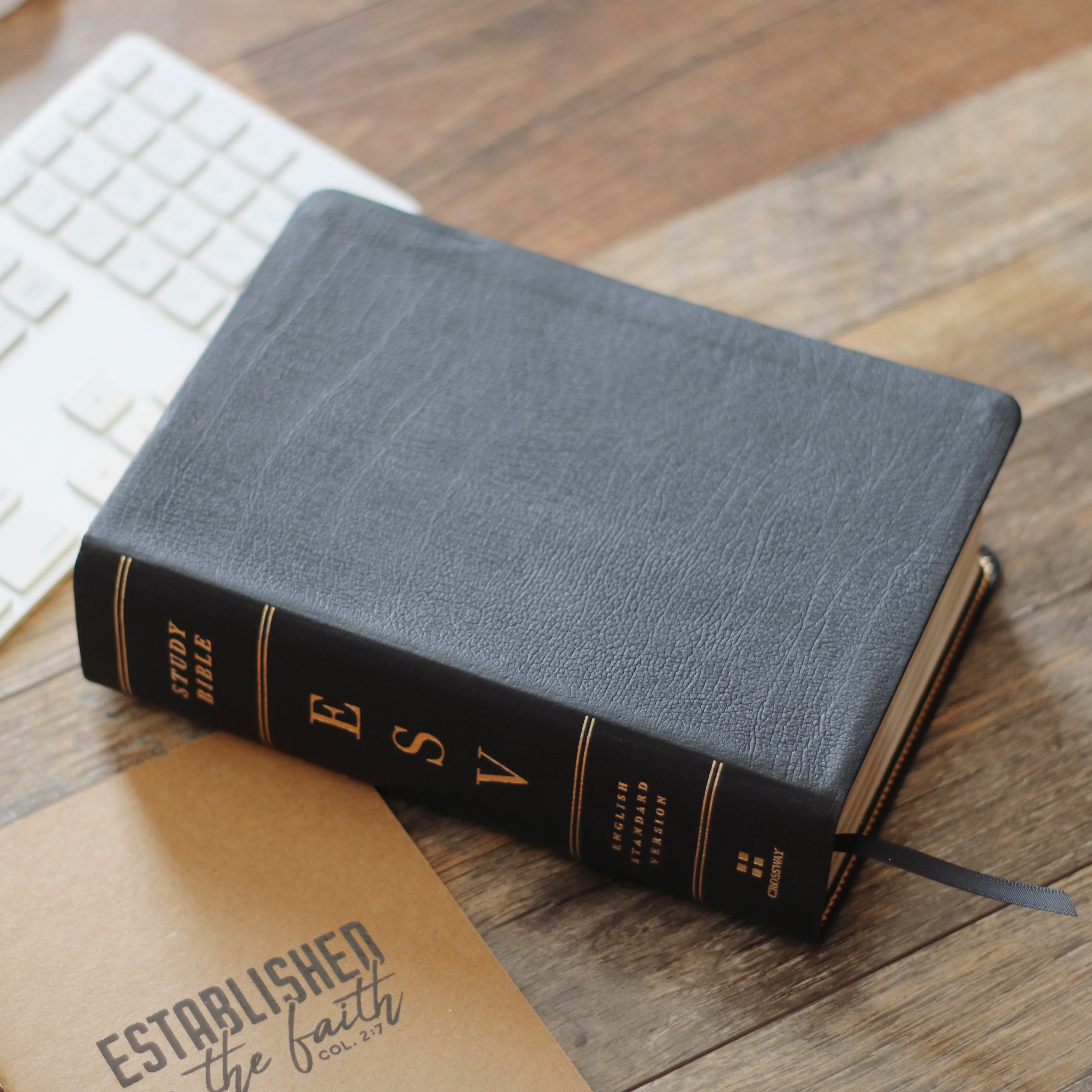 esv-study-bible-personal-size-black-leather-the-daily-grace-co-reviews-on-judge-me