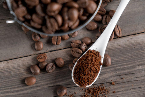 Coffea robusta powder with beans