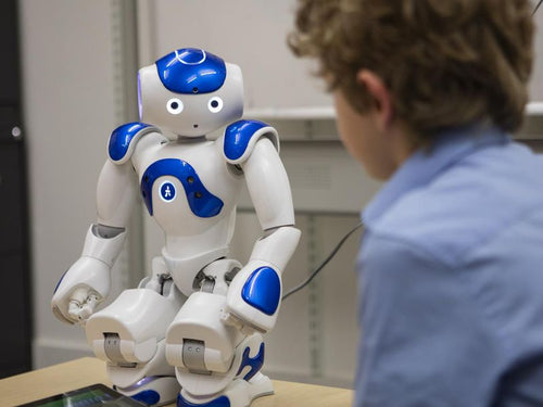 Rent-A-Robot Robot buddy for children
