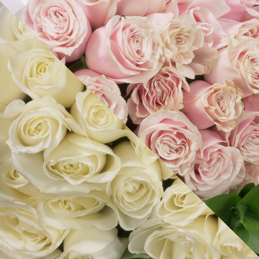 Light Pink Spray Rose Flower, DIY Wedding Flowers