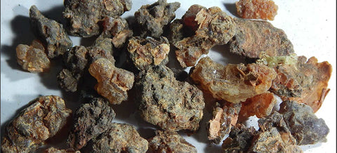 Bijabol Powder churna - Hirabol - Murmukhi - Francun - Commiphora –  Nutrixia Food