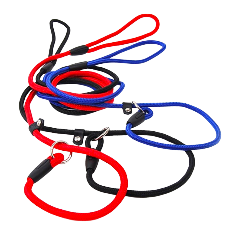 Training Correction Leash - Slip Lead