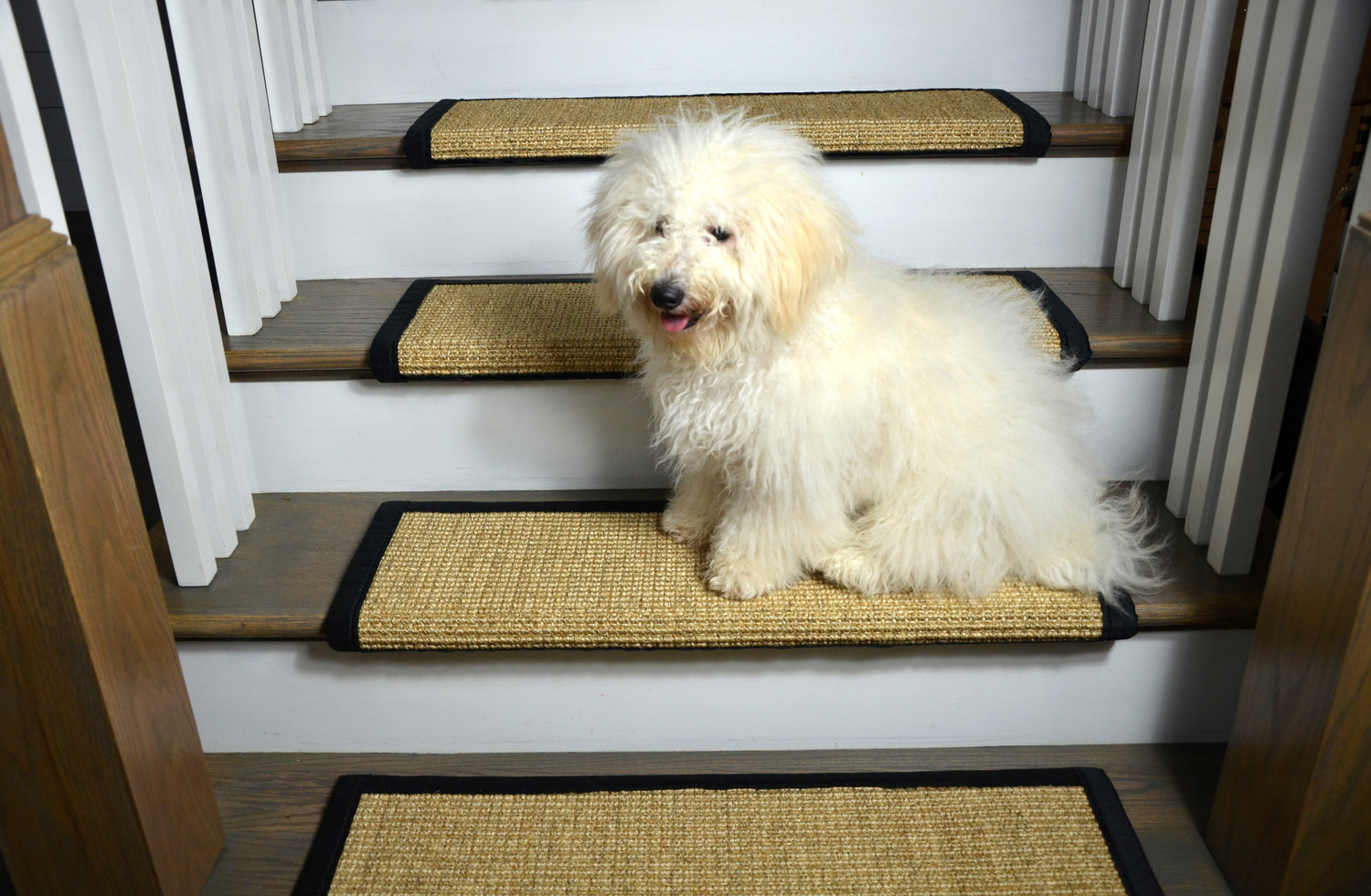 are sisal rugs good for dogs