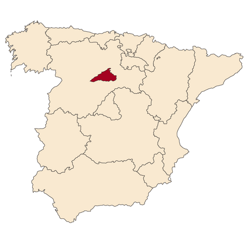Ribera de Duero España Bodegas Compostela