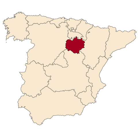 DOMINIO DE ES SORIA RIBERA DEL DUERO ESPAÑA BODEGAS COMPOSTELA