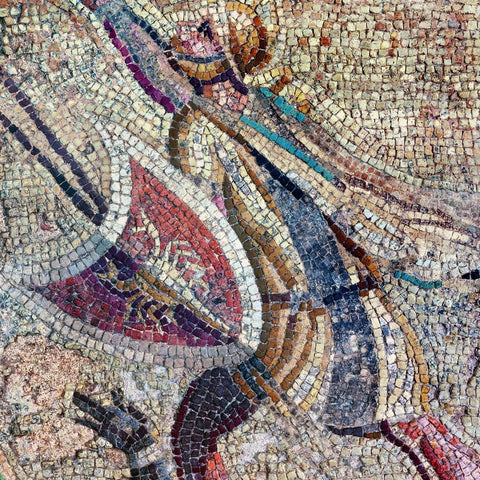 Lisa Tibaldi PRIVERNUM collection blog news notizie Mosaici che passione! dettaglio del mosaico del ratto di Ganimede conservato ai Musei Archeologici di Priverno
