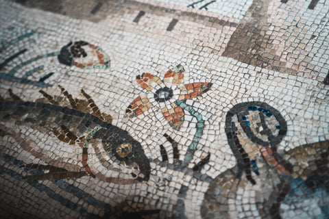 Lisa Tibaldi PRIVERNUM collection blog news notizie Mosaici che passione dettaglio di fiore di loto su mosaico della Domus della soglia nilotica di Priverno