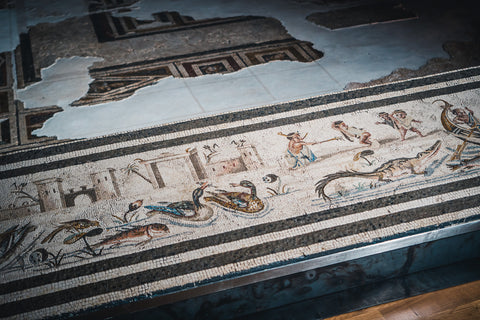 Musei archeologici di Priverno particolare del mosaico della soglia nilotica della Domus di Privernum