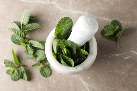 leaves placed in a mortar and pestle