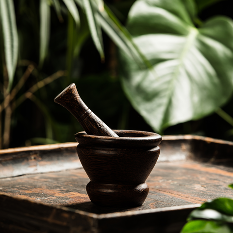 wooden mortar and pestle with leaves in the background