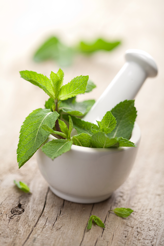 white mortar and pestle with herbs