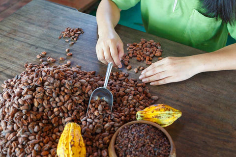 Feves de cacao