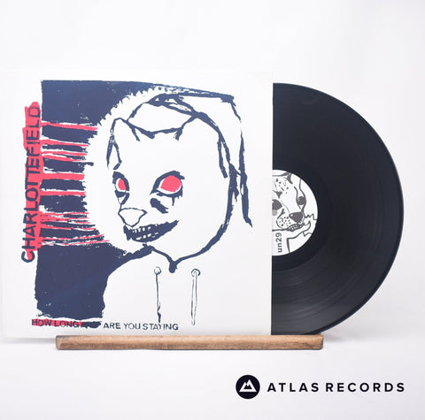 What Are The Best Vinyl Records To Add To Your Collection? ‐ Atlas Records