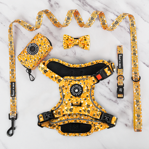 Bee dog harness