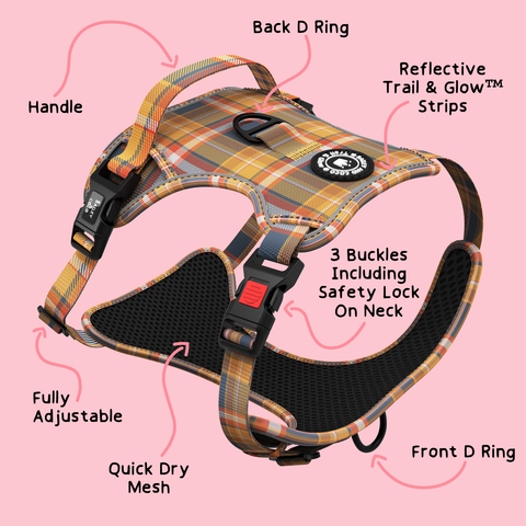 best dog harness UK