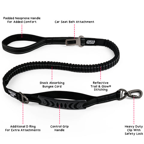 bungee dog lead