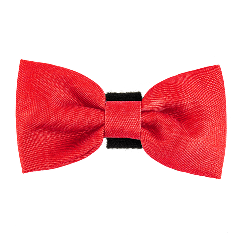 dog bow tie