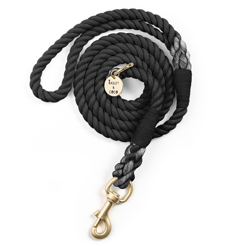 black rope dog lead