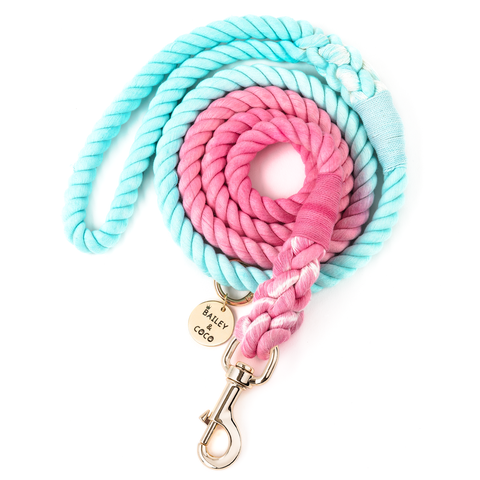 ombre rope lead