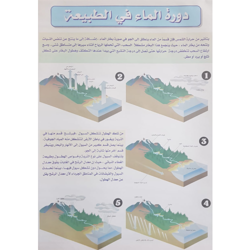 Water Cycle Chart Without Roller   WaterCycle 