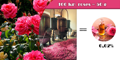rose oil gow much oils