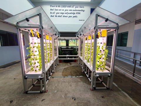 hydroponics farm with vertical grow towers at presbyterian high school