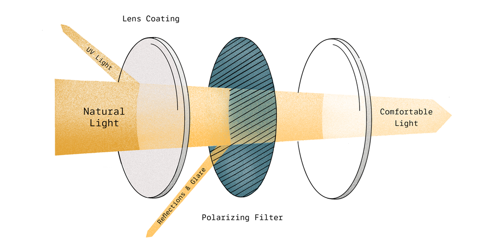 Polarization Illustration