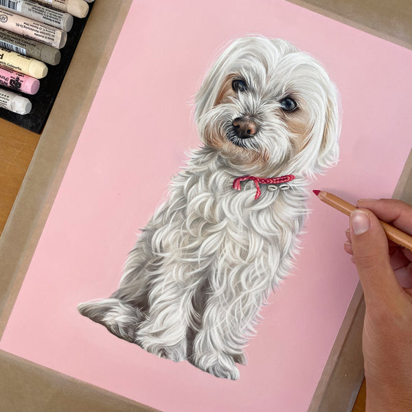 Custom pet portrait of a white dog by Brittany March