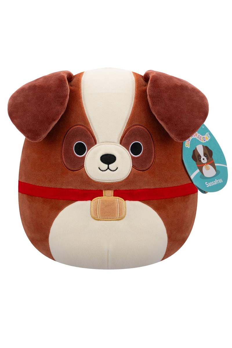 Sassafras 8" Saint Bernard Squishmallow